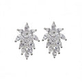 Sls Flower Stud Earrings 925 Silver Crystal Rhinestone Wedding Romantic Women's Jewelry Claw Setting White Gold
